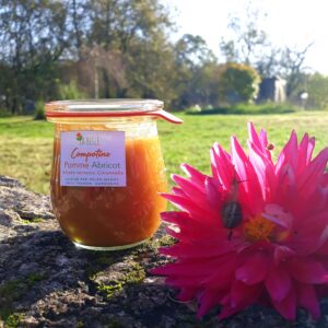 Compotine pomme abricot 180g