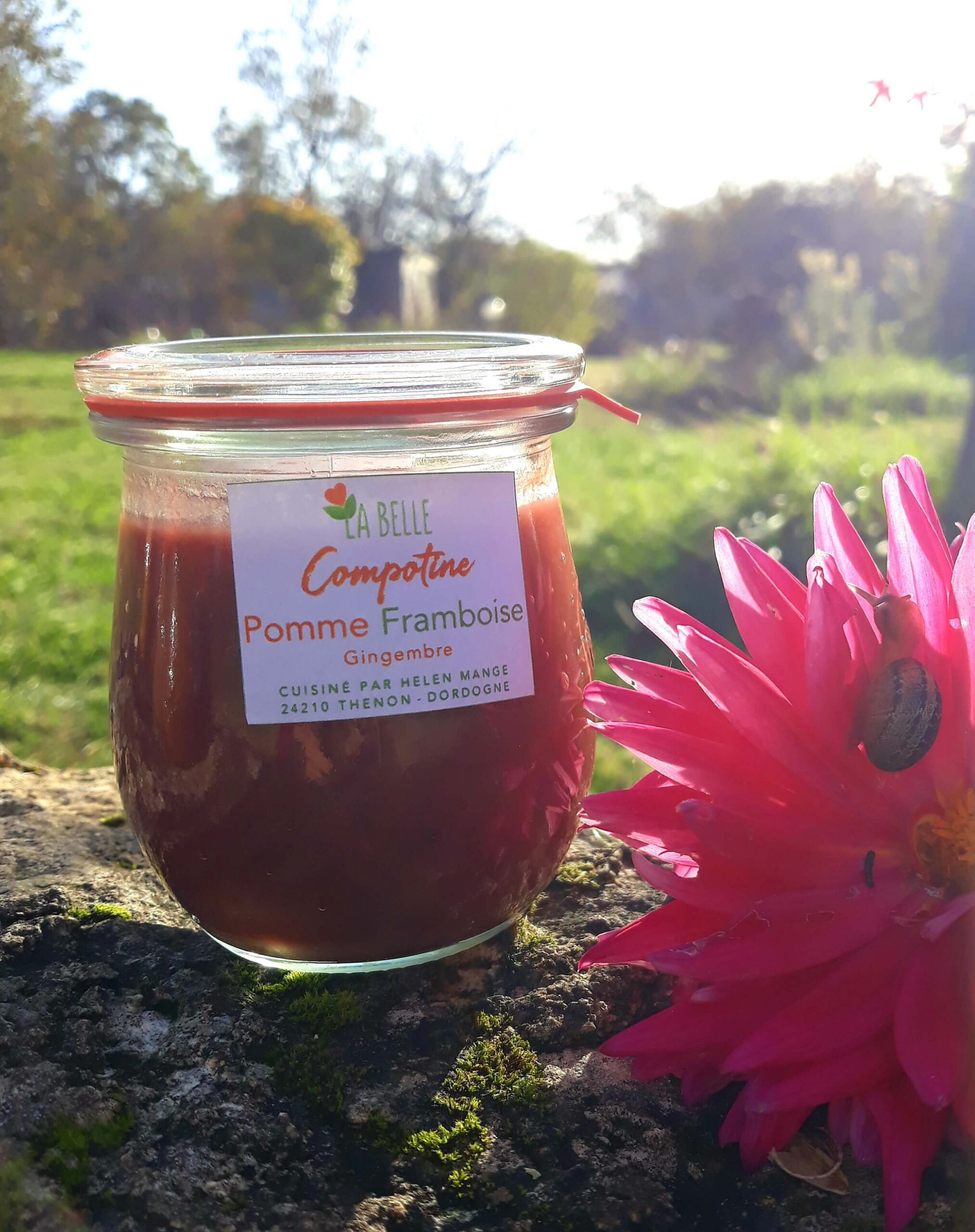 Compotine pomme framboise gingembre 180g