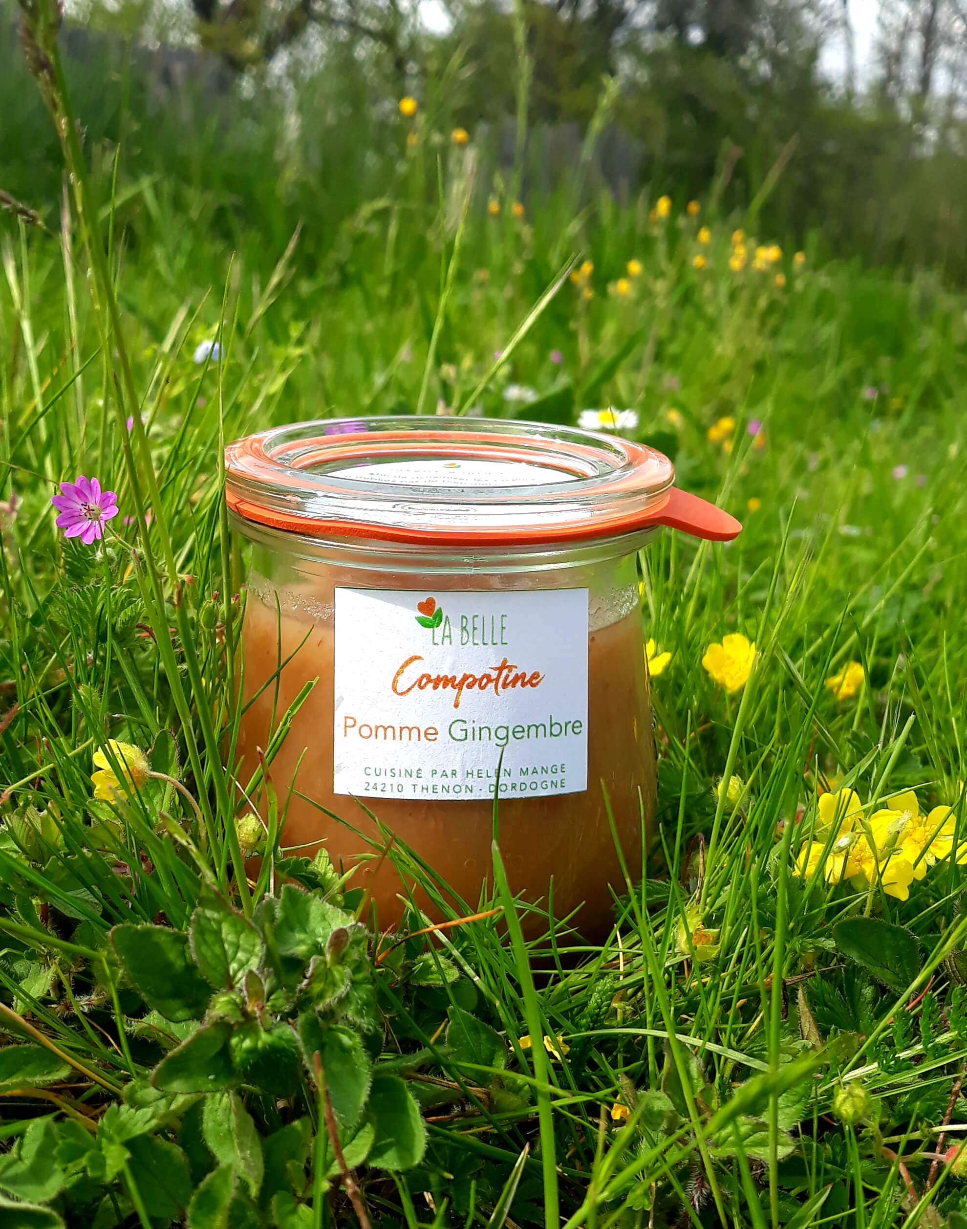 Compotine pomme gingembre 180g